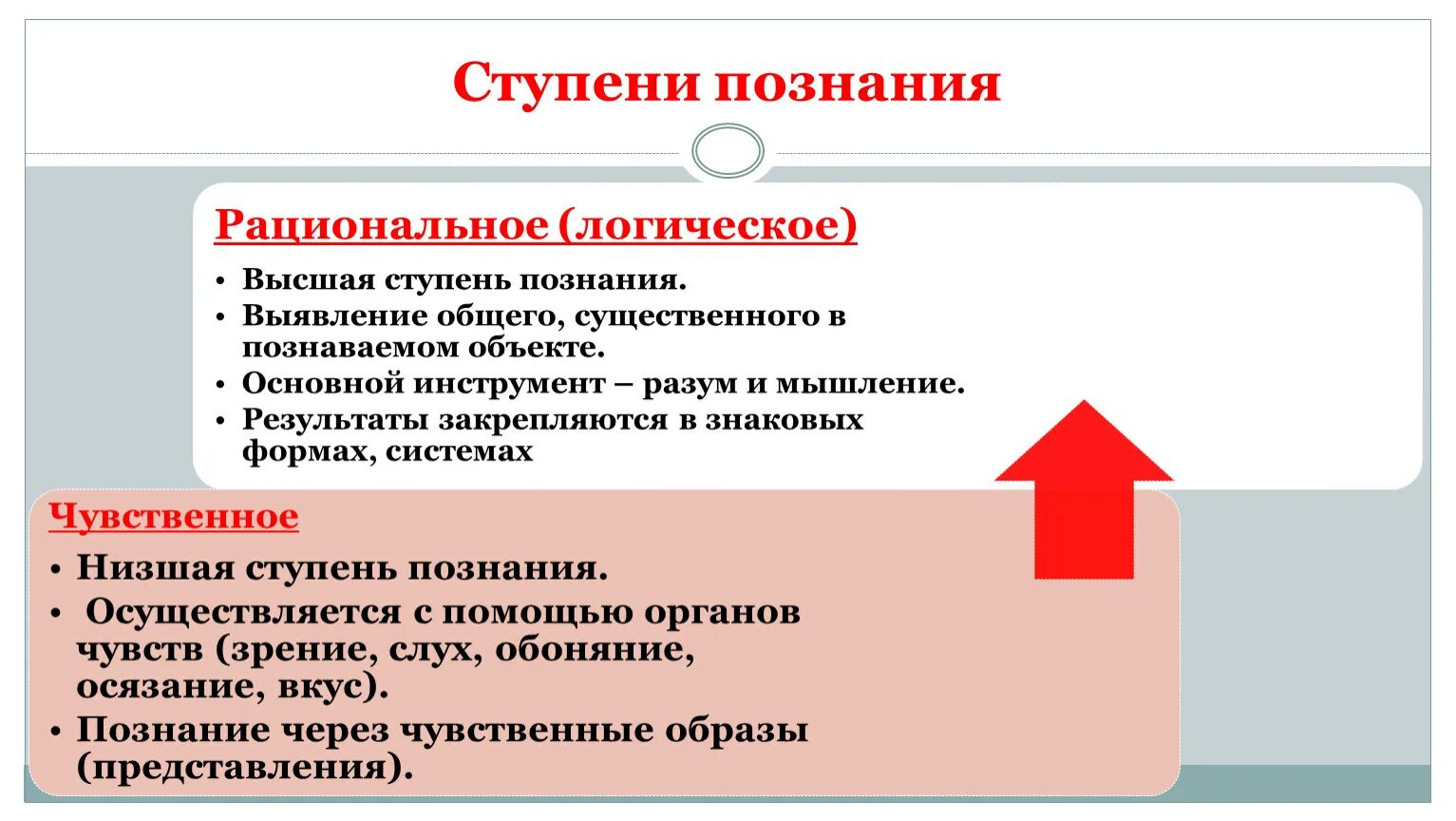 1 чувственное 2 рациональное логическое. Ступени рационального познания. Основные ступени познания. Этапы (ступени) познания. Формы рациональной ступени познания:.