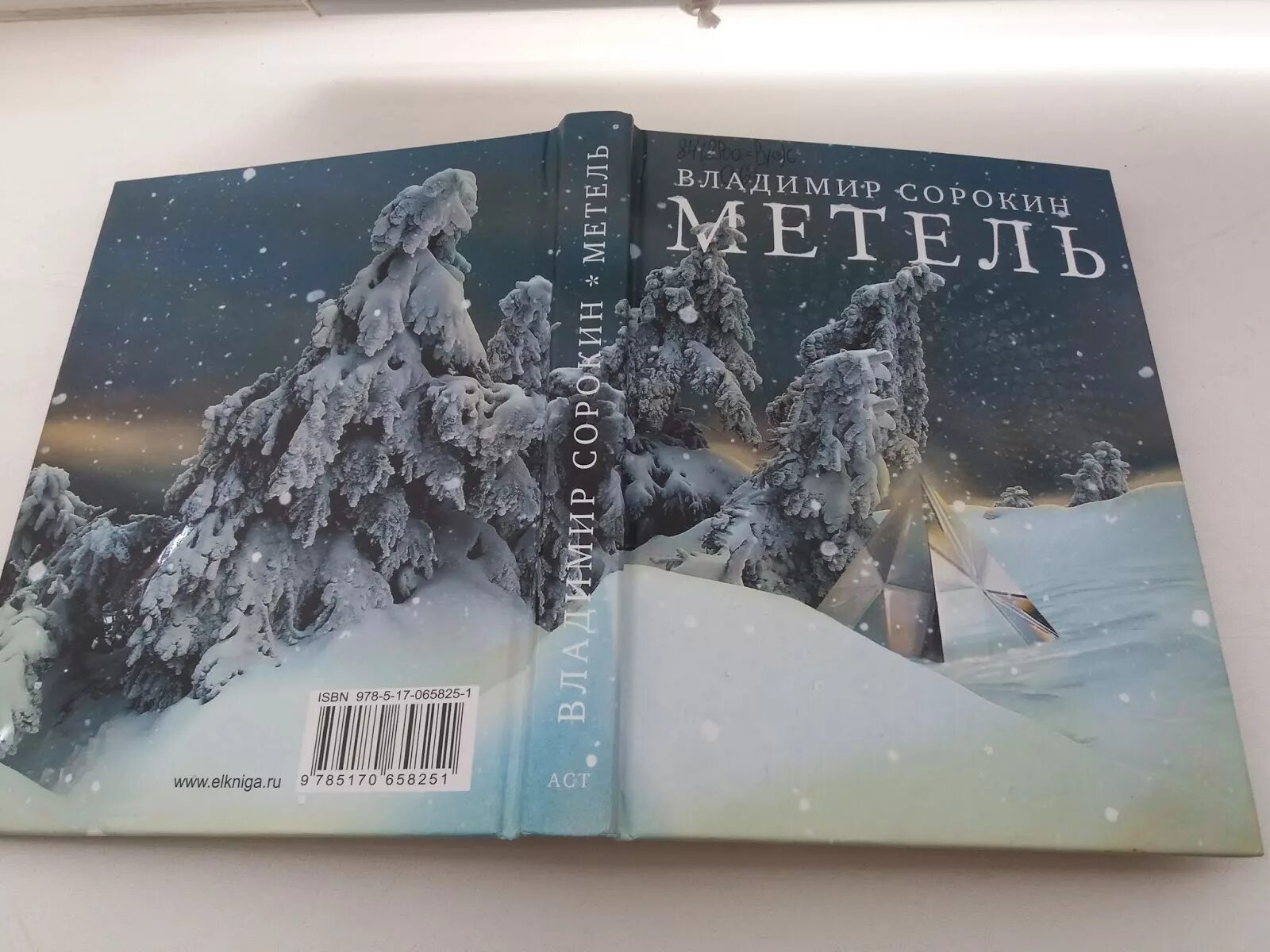 Пурга отзывы. Сорокин метель книга. Сорокин в.г. "метель".