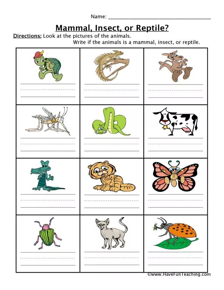 Reptiles mammals. Insects Worksheets. Animals classification Worksheets. Animals and insects Worksheets. Mammals and Reptiles Worksheets for Kids.