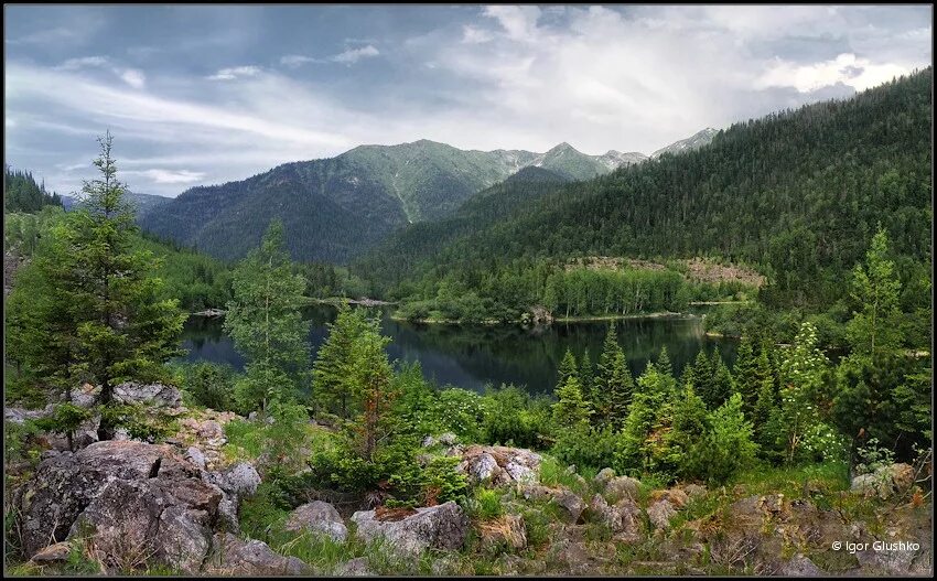 бурятия лес байкал. горная тайга бурятии. северо-муйский хребет. саяны гольцы. тайга бурятии.