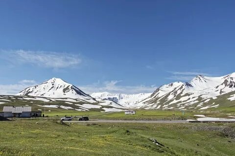 Ала бела