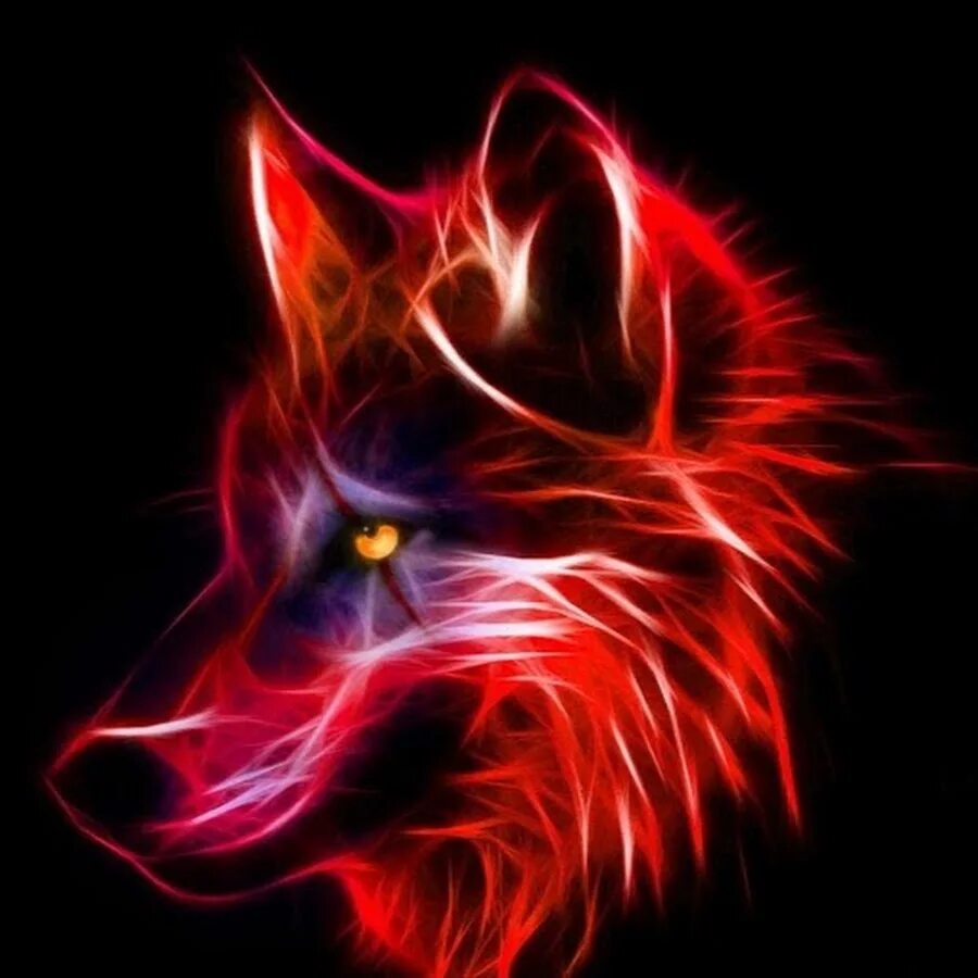 Ред вольф. Неоновый волк. Огненный волк. Огненная волчица. Красный Огненный волк.