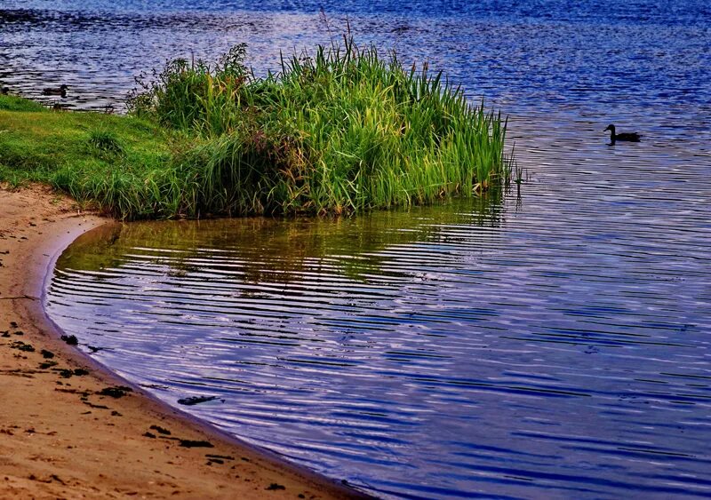 Защита рек. Охрана Волги. Охрана рек и водоемов. Защита реки Ока.