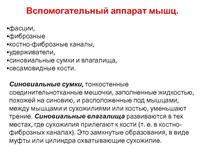 К вспомогательному аппарату мышц относятся ответ. Вспомогательный аппарат мышц. строение вспомогательного аппарата мышцы. дополнительный аппарат мышц. вспомогательный аппарат мышц анатомия.