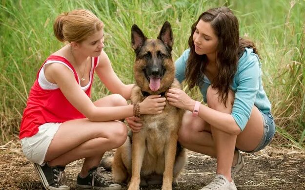 Крупные женщины и собаки. Зоосех. Сношение женщины с собакой. Соблазнила девочка собаку. Поцелуй с собакой.