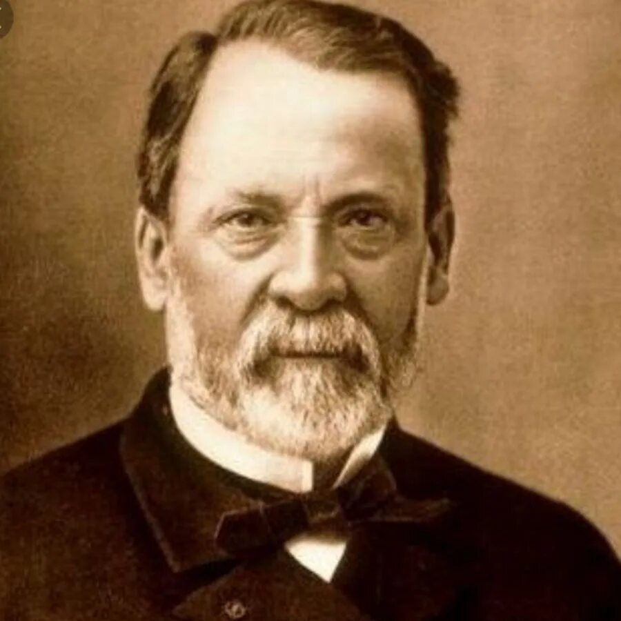 Л пастер вакцина. Луи Пастер. Louis Pasteur (1822-1895). Луи Пастер портрет. Французский микробиолог Луи Пастер..