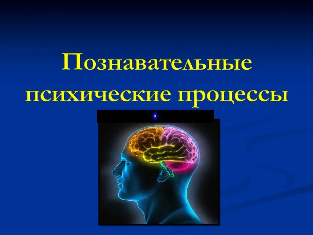 8 познавательных процессов. Познавательные процессы. Познавательные психологические процессы. Психически Познавательные процессы. Познавательные (когнитивные) психические процессы.