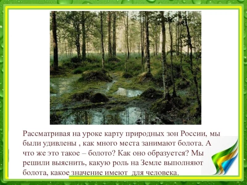 Болота что означает. Значение болота в природе. Природные зоны болота. Болота доклад. Роль болот в природе.