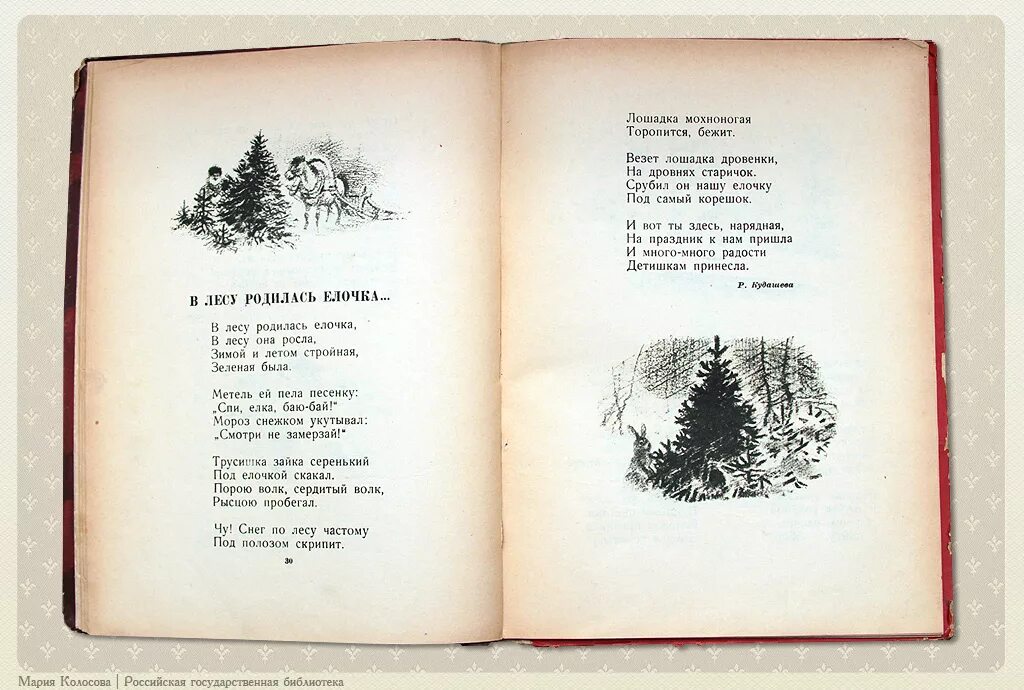 В лесу родилась ёлочка. Стихи. Стихотворение в лесу родилась елочка. Стхихотворения в лесу родилась ёлочка. Стих стих в лесу родилась елочка.