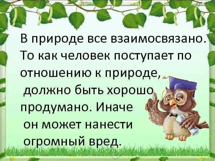 Взаимо связано. В природе всё взаимосвязано. Рассказ в природе все взаимосвязано. В природе всё взаимосвязано доклад. В природе все взаимосвязано 3 класс.