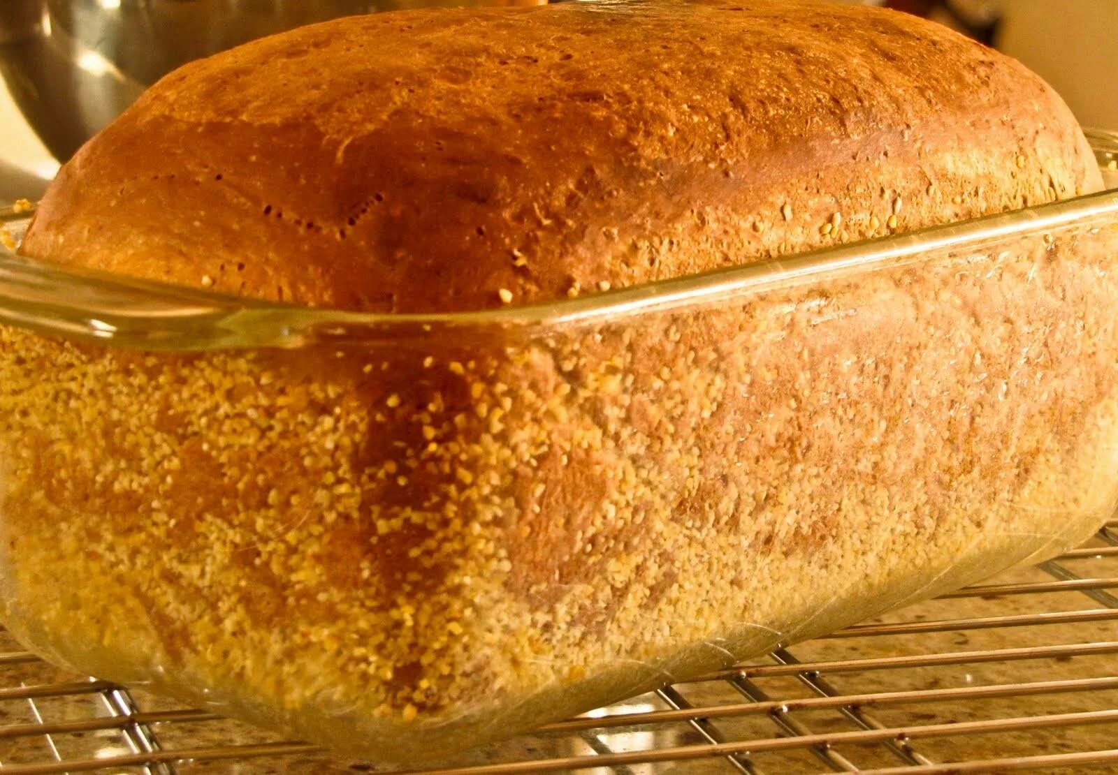 Выпечка хлеба в духовке. Хлеб в форме в духовке. Стеклянная форма для хлеба. Выпечка хлеба в стеклянной форме в духовке. Бабушкин рецепт домашнего хлеба