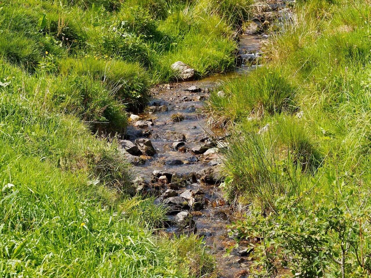 В течении горного ручья вода. Водоток реки это. Ручей. Поверхностные водотоки. Пересохший ручей.