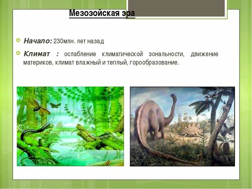 Мезозой Эра климат. Мезозой периоды. Мезозойская Эра животные и растения. Мезозойская климат.