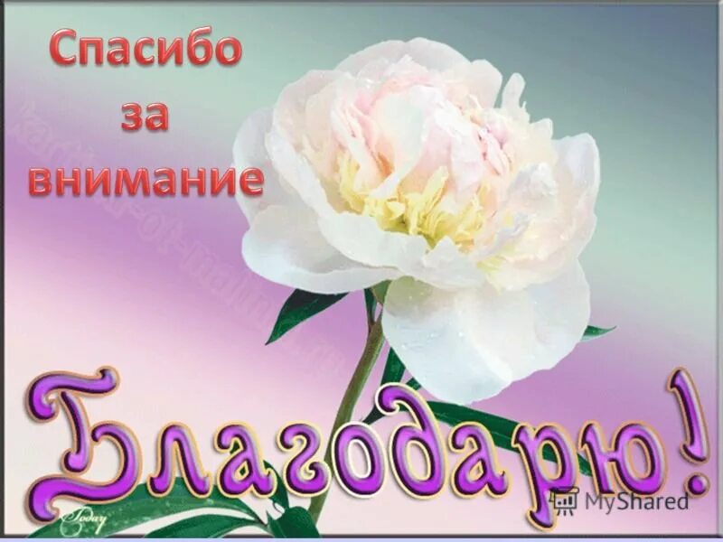 Открытки с благодарностью. Благодарность цветы. Благодарность картинки. Открытки с благодарностью спасибо. Благодарный цветы