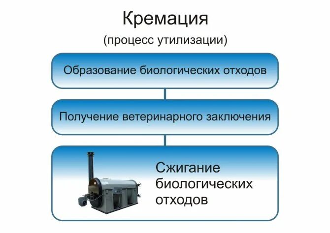 Санитарные правила биологические отходы. Утилизация биологических отходов. Биологическая переработка отходов. Биологический метод утилизации отходов. Схема утилизации биологических отходов.