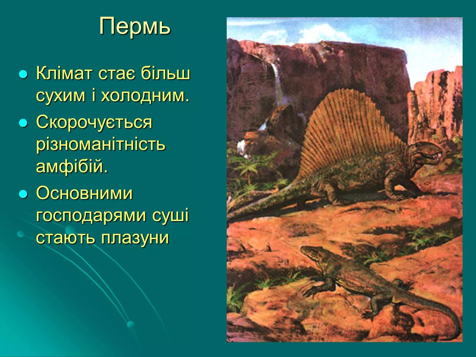 Какое отношение пермский период имеет городу пермь. Пермский период палеозойской эры растения. палеозойская эра пермский период климат. пермь период палеозойской эры климат. пермский период палеозойской эры животные.