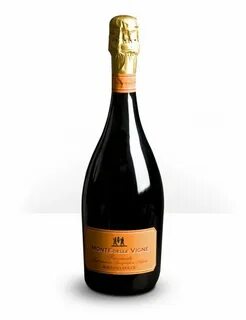 Malvasia