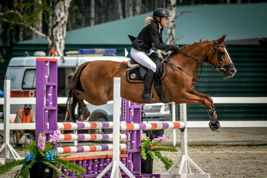 конный спорт соревнования кавалетти. конно-спортивная школа исток екатеринбург. самодуровский игорь конный спорт россия. конная школа исток екатеринбург соревнования. конноспортивная база буденновец дмитров.