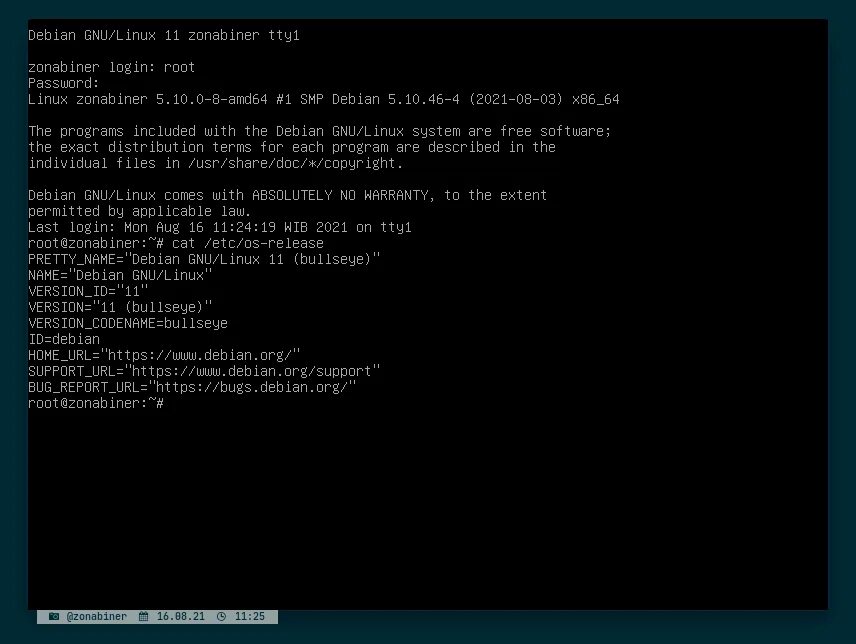 Debian 11 upgrade. Debian 11 upgrade