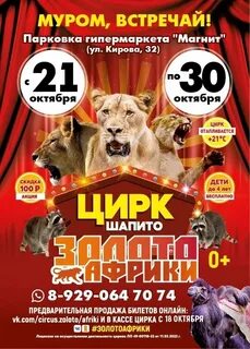 Расписание цирка ульяновск