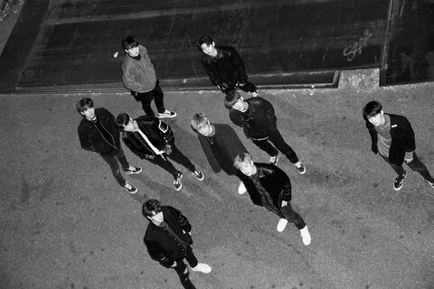 Stray kids everywhere all around
