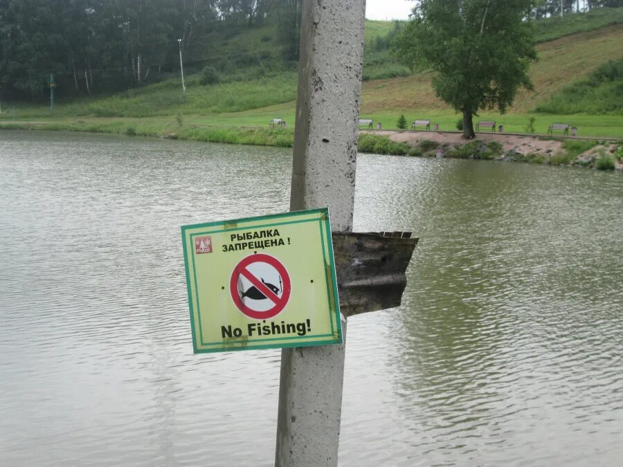 Где нельзя рыбачить. Запрещено ловить рыбца. Лов рыбы запрещен табличка. Рыбалка запрещена табличка. Какую рыбу запрещено.