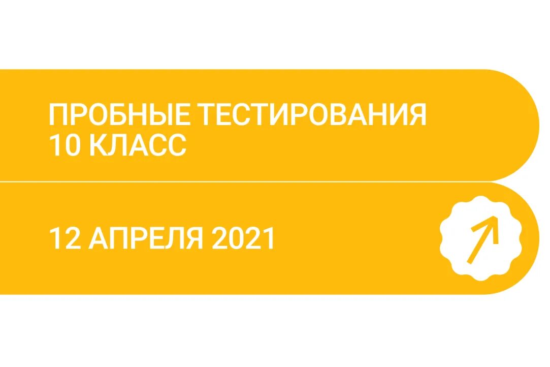 Лицей НИУ ВШЭ вступительные экзамены в 10 класс Информатика. Пробное тестирование.