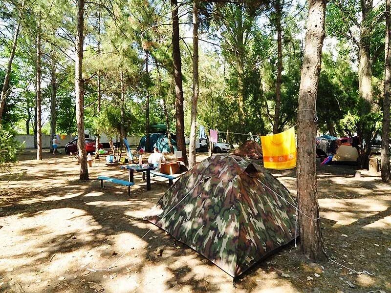 Кемпинг в анапе. Автокемпинг голубые ели Анапа. Кемпинг голубая волна Джемете. Джемете голубые ели. Голубые ели Анапа база отдыха.