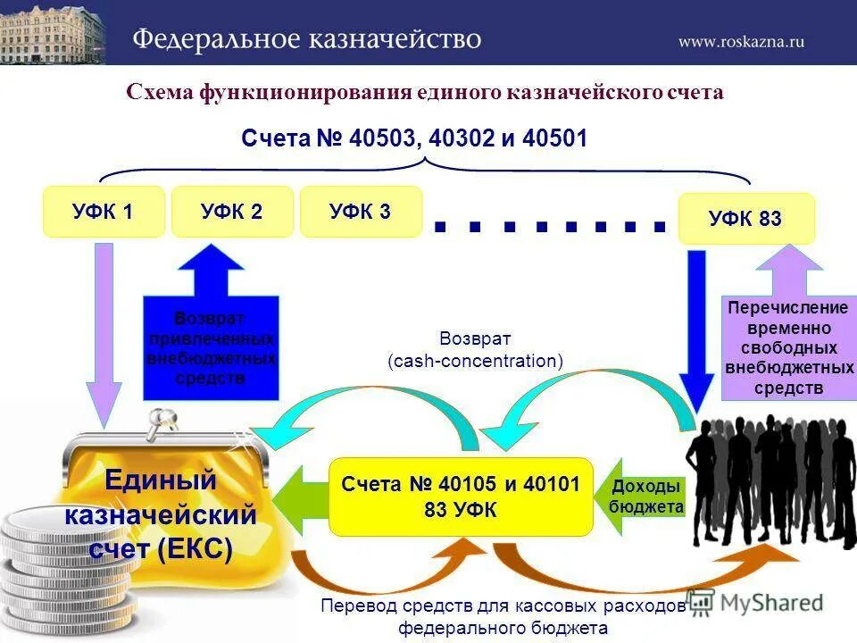 Единый казначейский счет. Единый казначейский счет схема. Счет федерального казначейства. Казначейский счет и единый казначейский счет. Оплатить казначейство