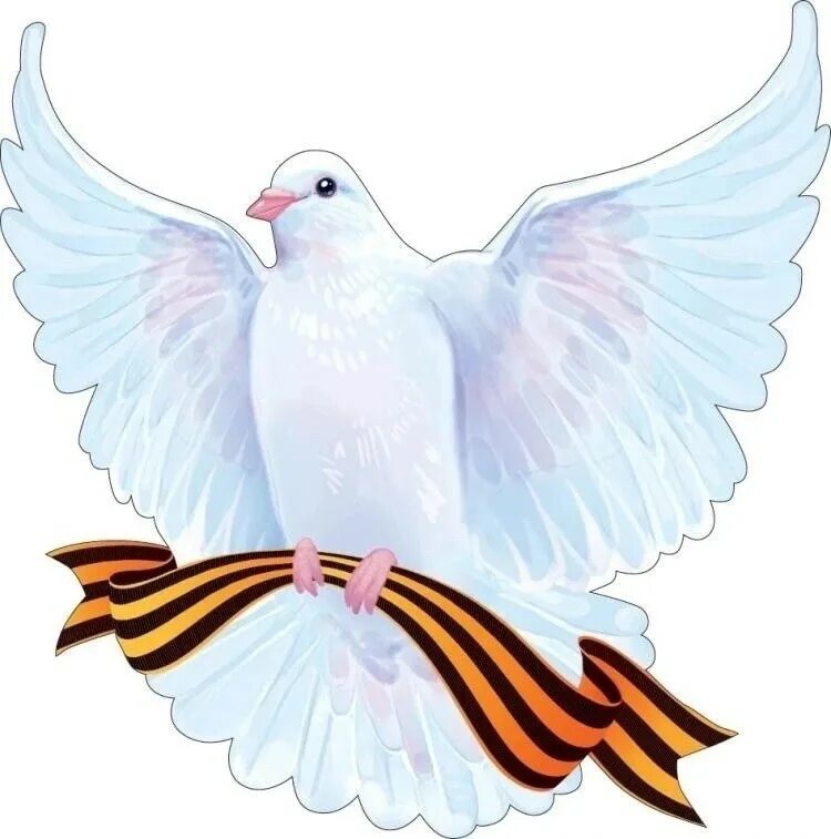 ветеран рисунок. голубь победы. голубь победы. день победы голуби. голубь с георгиевской лентой в клюве.