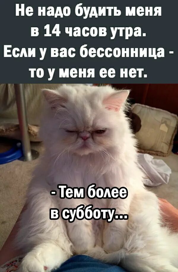 Меня будить фильм. Александр пятков там на неведомых дорожках. Меня будить видео. Меня будить видео. Меня будить.