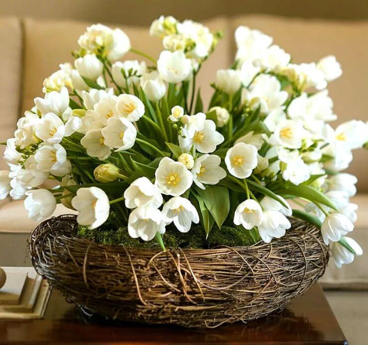 Поздравления родившимся весной. Весенний букет. Букет весенних цветов. Красивый букет весенних цветов. Самые красивые весенние букеты.