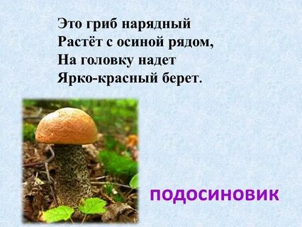 Составить познавательный текст про подосиновик