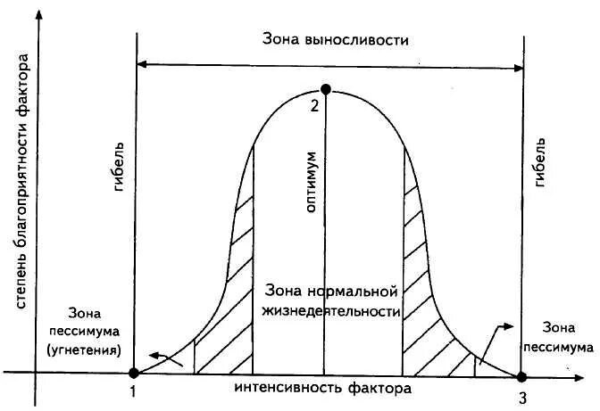 Зона оптимума и пессимума. Зависимость действия экологического фактора от его интенсивности. Общие закономерности действия факторов. Зона выносливости организмов. Схема действия экологического фактора на организм.
