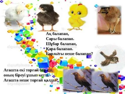 Арық балапанды блять