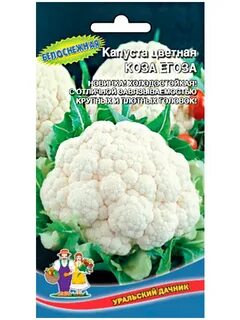 Цветная капуста сорт коза дереза
