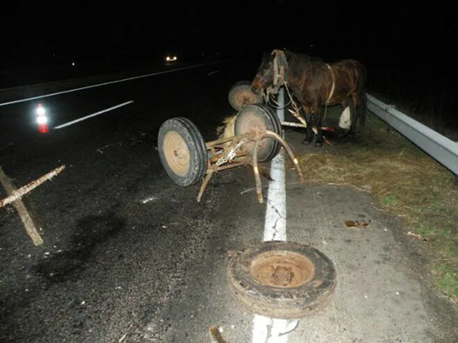 водитель с битой. фотосессия на дороге. кинохроника парикмахер. что непременно возили с собой автомобилисты. что непременно возили с собой автомобилисты.
