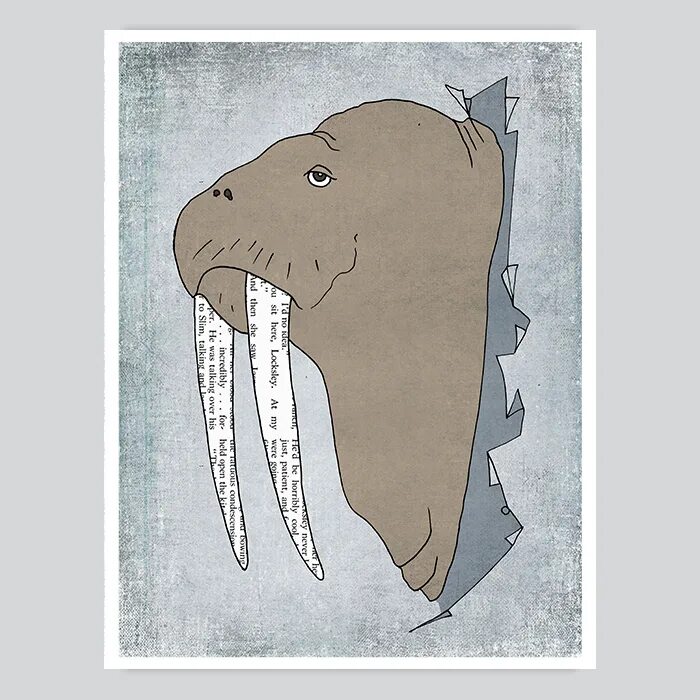 схема моржа. схема моржа. внешнее строение ластоногих. информация о морже. люди моржи раскраска.