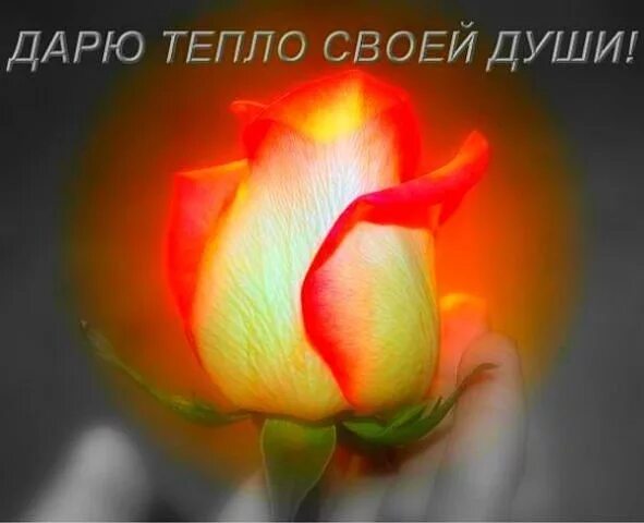 Спасибо за внимание стихи мужчине. Стихи о доброте души. Тепло души твоей осталось с нами на памятнике. Тепло души текст. Тепло души текст.