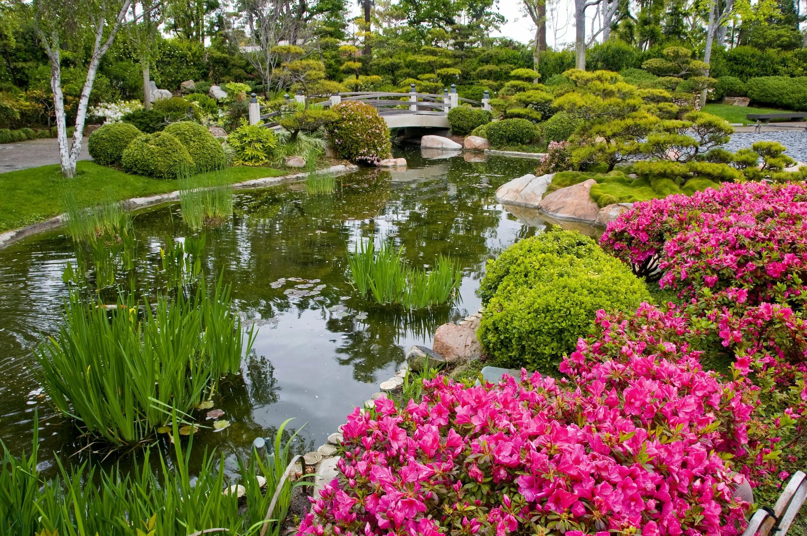 Цветочный пруд 22. Сады Леонардсли (Leonardslee Gardens). Сад Трокадеро пруд. Японский прудик в саду. Сады Монте Карло.