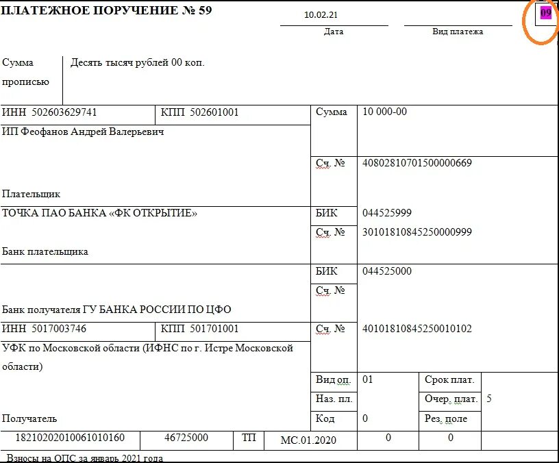 Статус в платежках ип. Статус плательщика 101 в платежке. Статус налогоплательщика НДФЛ В платежном поручении. Статус юридического лица в платежном поручении. Платежное поручение статус плательщика поле 101.