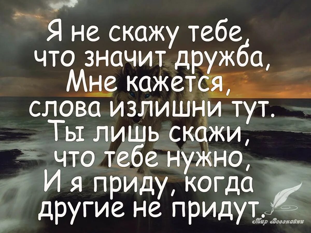 Дружба высказывания цитаты. Цитаты про дружбу. высказывания о дружбе. афоризмы про дружбу. красивые высказывания о дружбе.