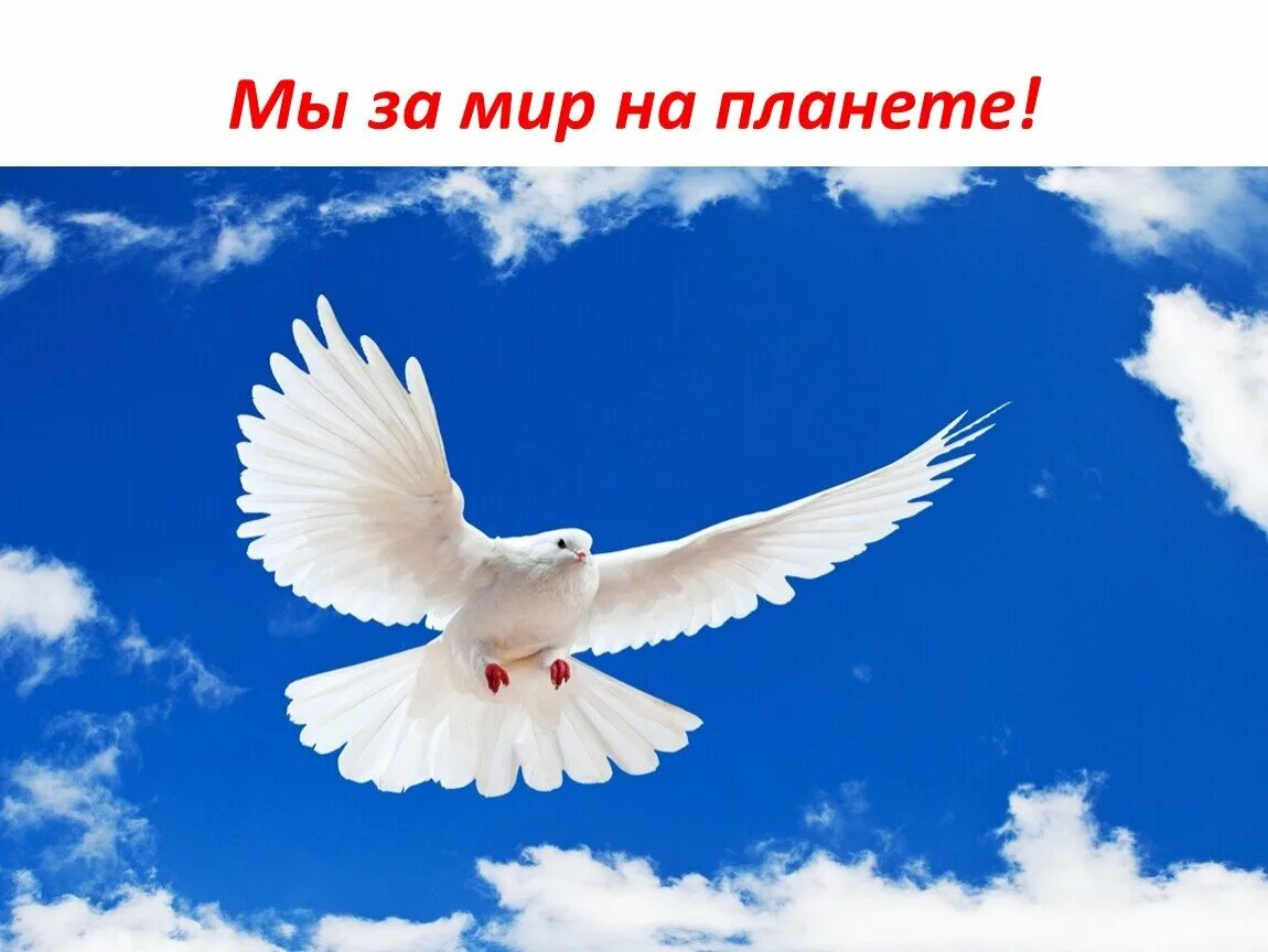 Бесплатные картинки с мирным небом