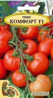 Томаты беларусь