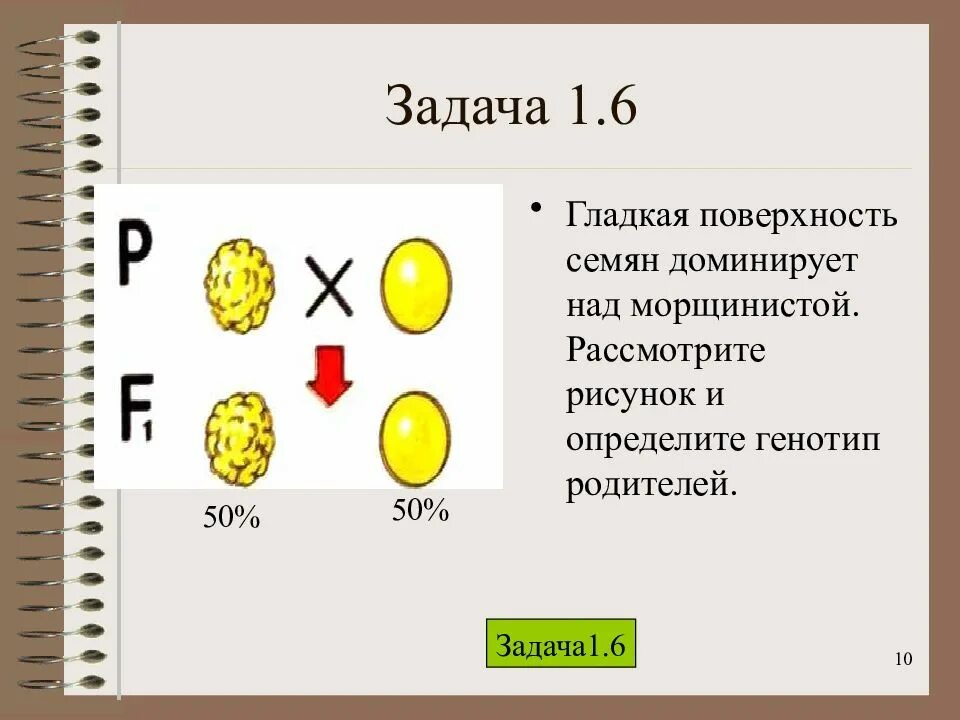 Задачи по биологии на генетику про горох. Задачи по генетике про горох. Гладкая поверхность семян доминирует над морщинистой. Задачи по генетике гладкие морщинистые.