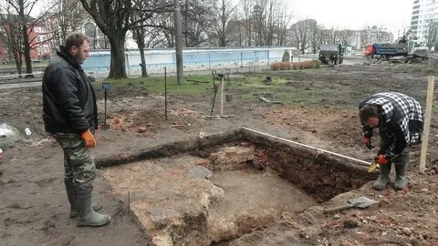 Специалисты полагают