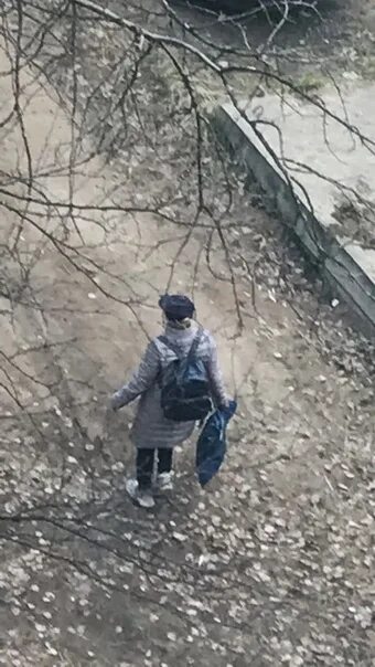Снится справлять нужду. Снится справлять нужду