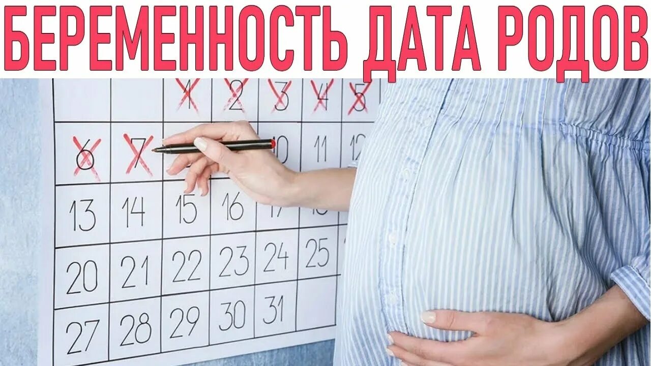 Рассчитать сколько беременность. Беременные календарь 2024. Календарь для беременных 2024. Календарь для беременных своими руками. Кален беременность 2024.