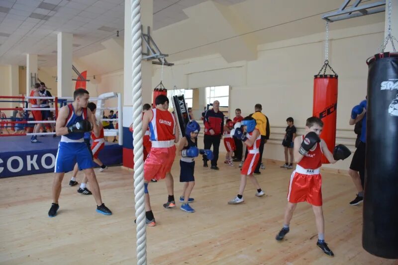 Секции в ленинском районе. Сц космос ленинский проспект 64 самбо. Секции в ленинском районе. Спортивные секции ижевск для детей. Секции в ленинском районе.