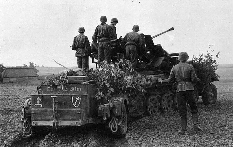 Соединения вермахта. 1 Танковая дивизия СС Лейбштандарт СС.